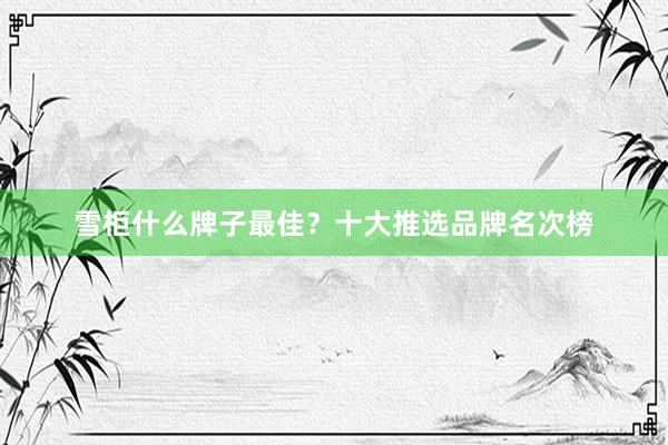 雪柜什么牌子最佳？十大推选品牌名次榜