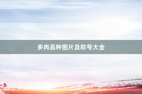 多肉品种图片及称号大全