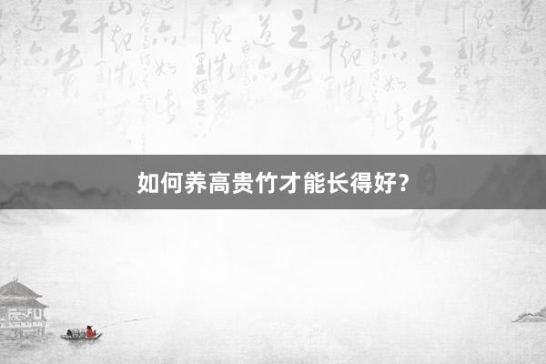 如何养高贵竹才能长得好？