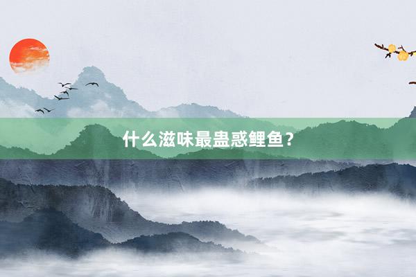 什么滋味最蛊惑鲤鱼？